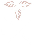 centered logo