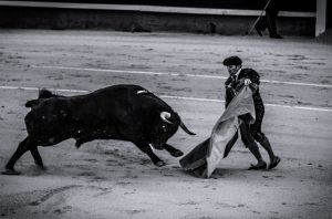 Bullfighting, San Fermin, Pamplona, Tradition