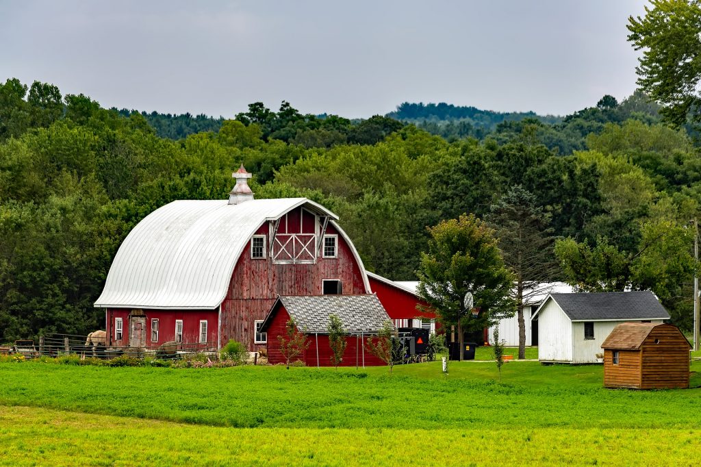 dairy farm, farm, barn, midwest, midwestern state, cheese, wisconsin cheese, state, us state
