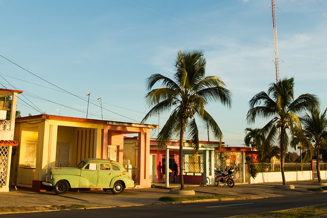 cuban, car, old car, vintage, island, palm trees, island life, cuban government, government, politics