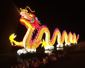 dragon, awesome, hot, fire, orange, decoration, curvy